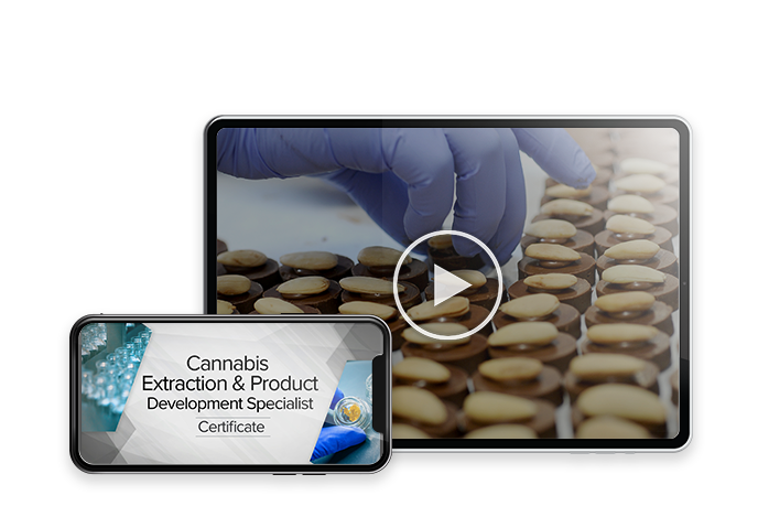 Cannabis Extraction and Product Development Specialist Webinar