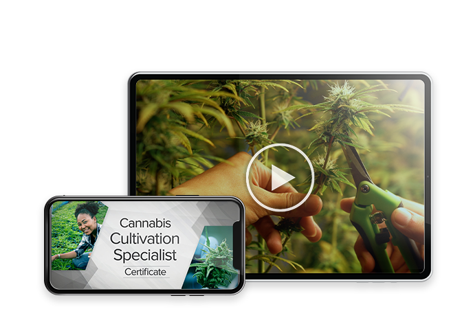 Cannabis Cultivation Specialist Webinar