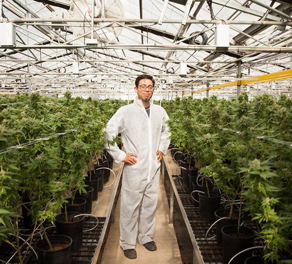 Cannabis Career Resource Center